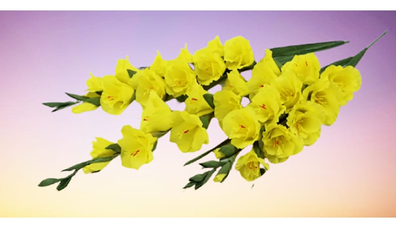 Lovely crepe paper gladioli that every advanced crafter should try for their Cinco de Mayo decors