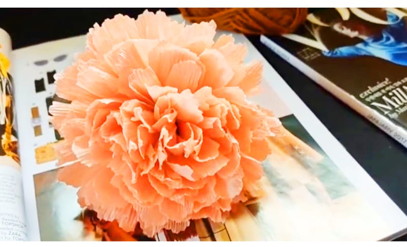 Crepe Paper Carnation Flower