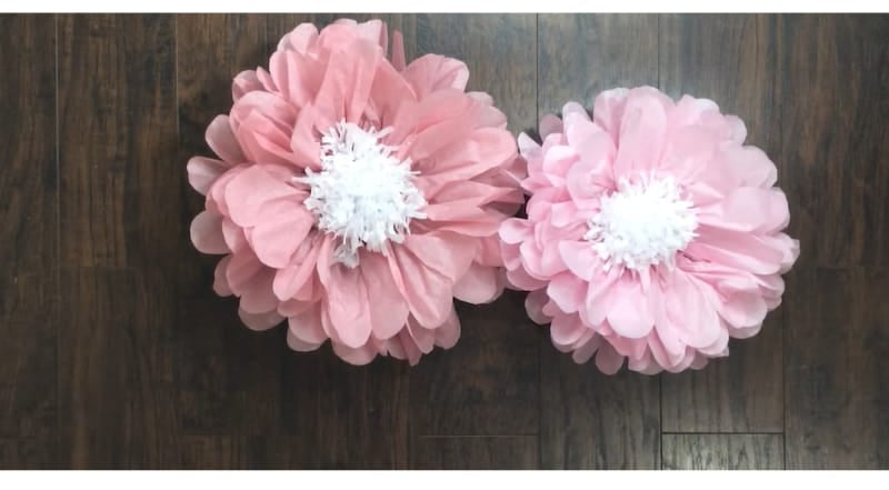 Double cosmos flower made from tissue paper