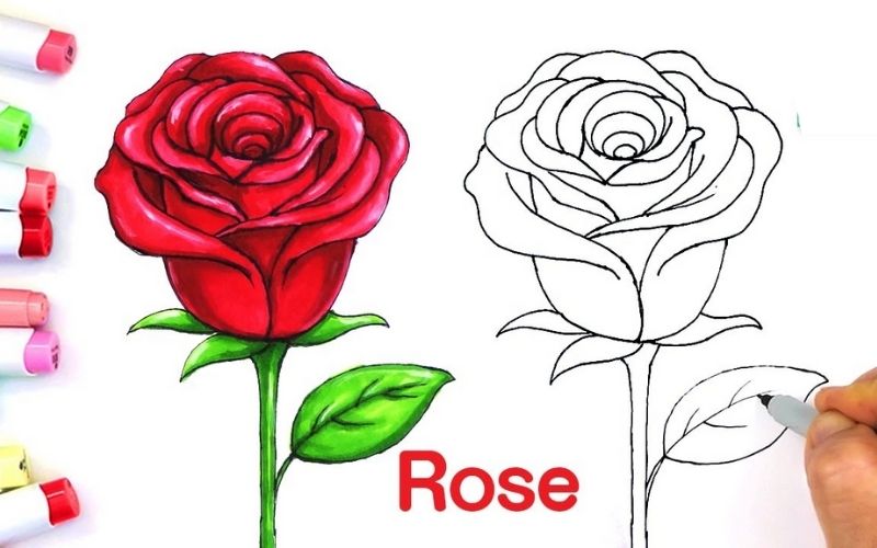 Drawing a rose with regular markers