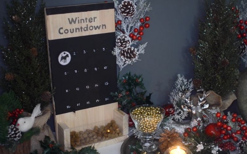 Holiday Countdown Calendar for Pets