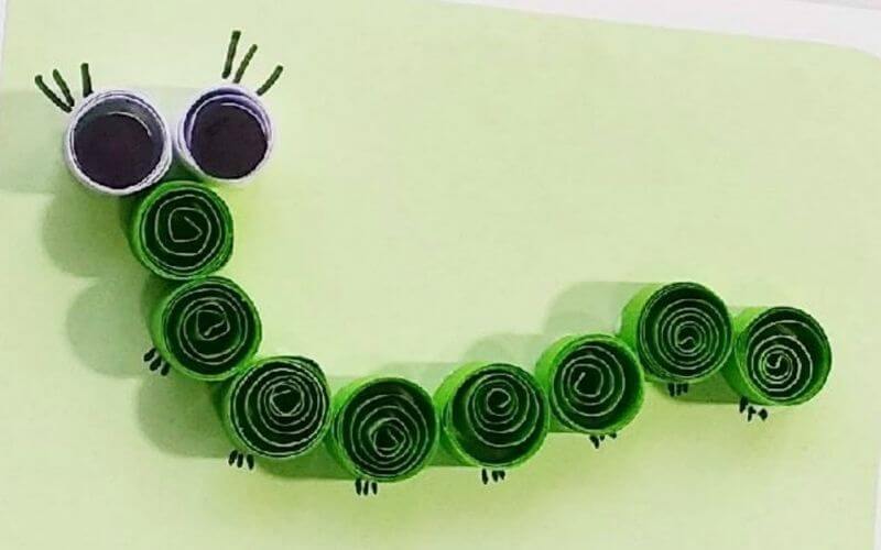 Quilled caterpillar