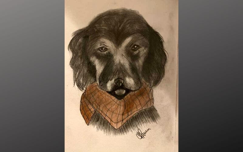 a painting of a dog