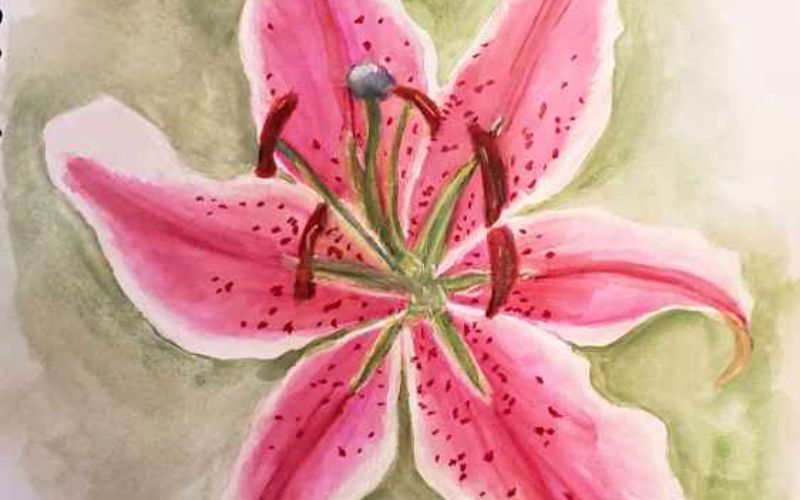 a flower painting