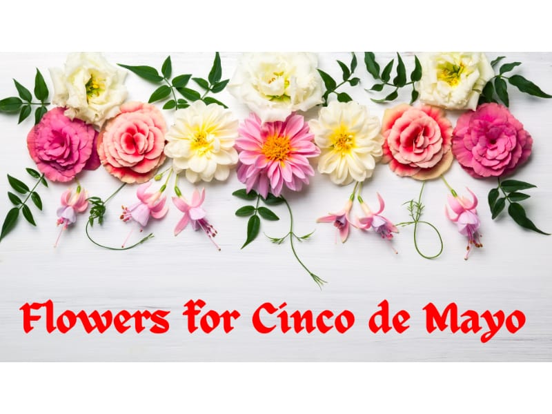 Crepe paper flowers for your Cinco de Mayo celebrations