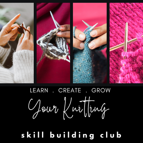 Skill Building Club, a hand-dyed yarn and education, subscription at Apple Yarns