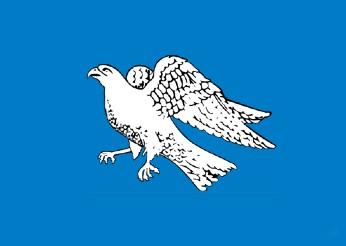 iceland - old falcon flag