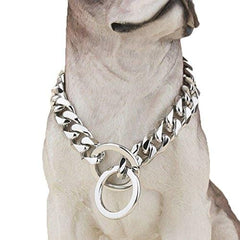 chain dog