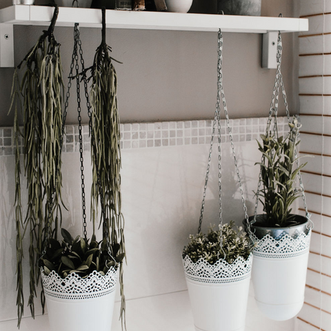 Hanging Plants on Floating Shelf