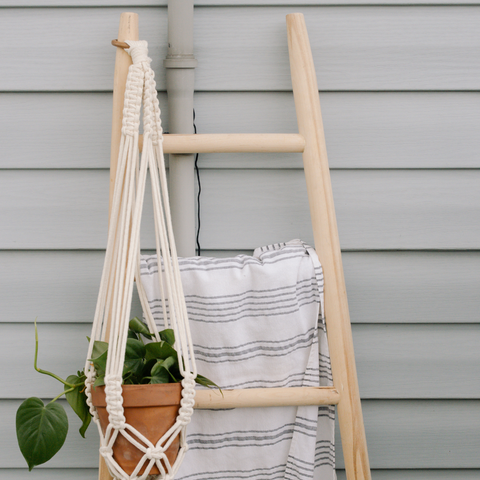 Blanket Ladder with Hanging Plant