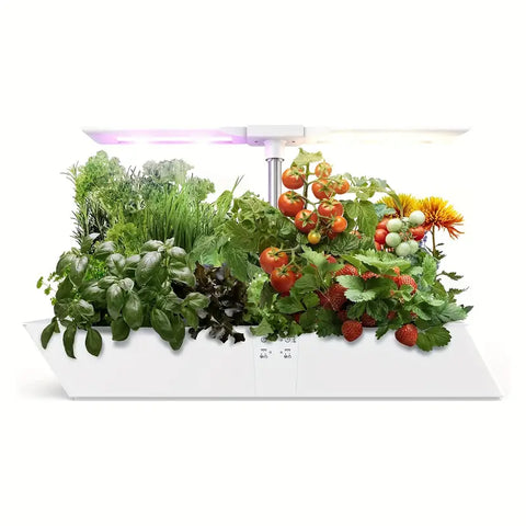 Hydroponics Growing System - Agrestem