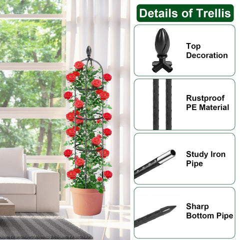 Rose Trellises