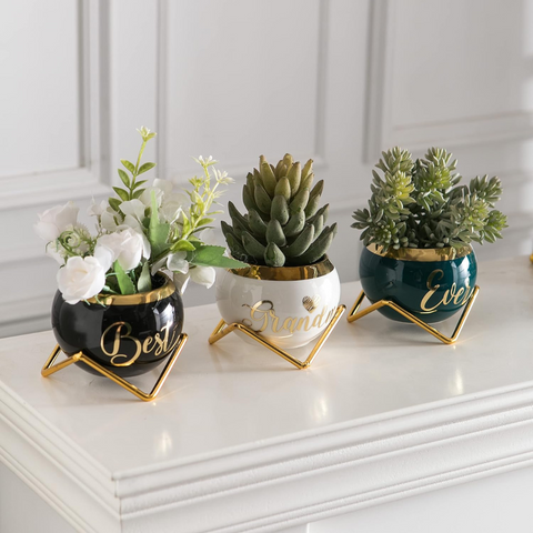 Small Plant Pots for Gifts | Cute Pot For Plants