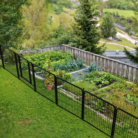 Metal Garden Fence with Gate