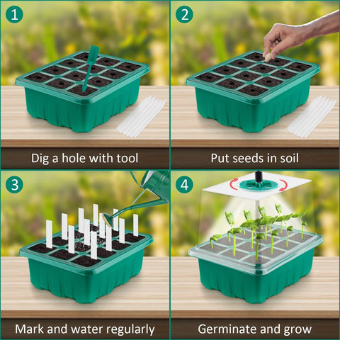 6 and 12 Holes Seedling Trays
