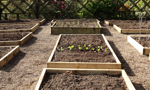 Implement Raised Beds