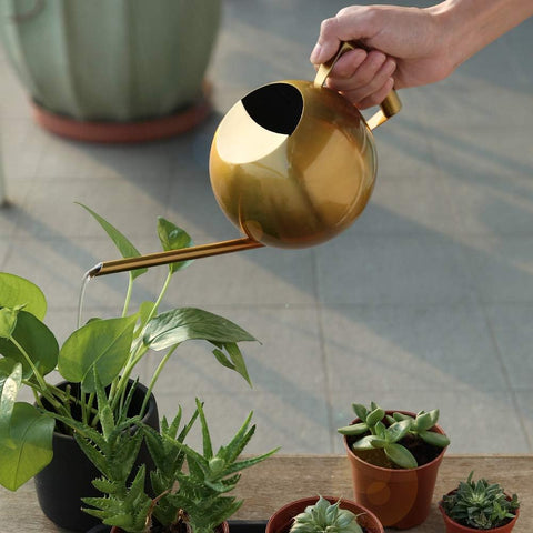 Bonsai Watering Can