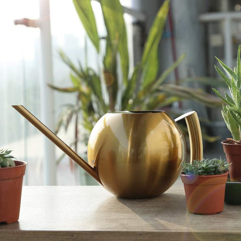 Bonsai Watering Can - Gold