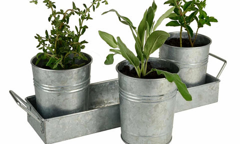 Galvanized Planter Boxes