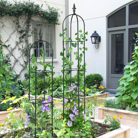 Garden Trellis -6.2ft