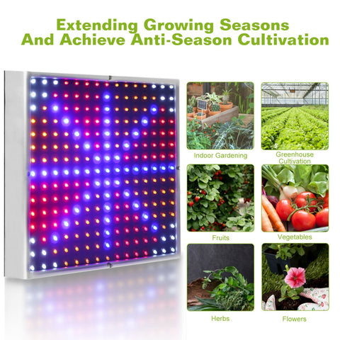 Full Spectrum LED Grow Lights