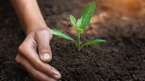 Healthy Soils, Plant Stress Mitigation