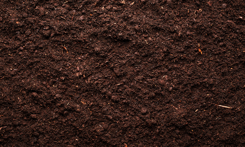 healthy soil for indoor gardening