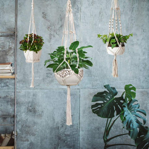 Macrame Plant Hanger