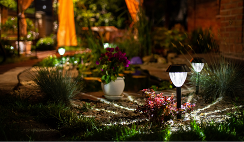 Decorative Garden lights