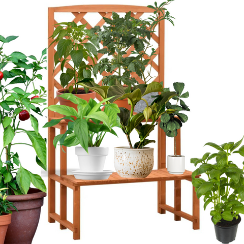Plant Stand with Trellis