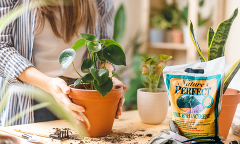 Potting with Natures Perfect Soil Enhancer