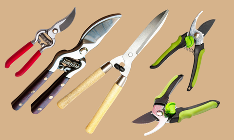 Pruning Shears