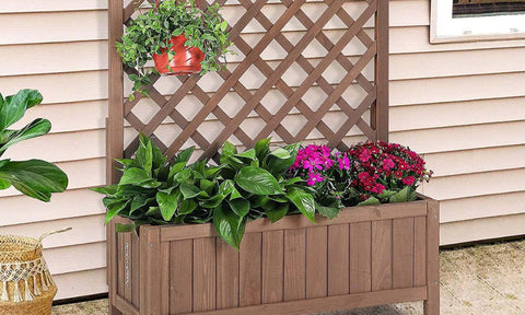 Raised Garden bed with Trellis