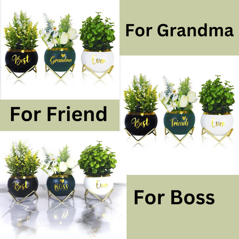 Small Plant Pots for Gifts