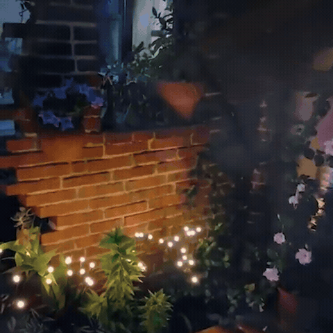 Firefly Solar Lights for Outdoor