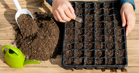 Sowing Seeds