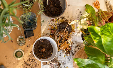 Cleaning Indoor garden