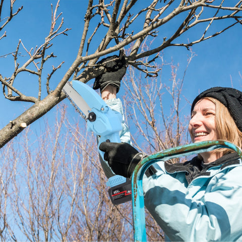 Electric Pruning Saw