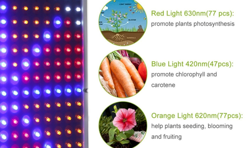 Grow Lights for Indoor Gardening