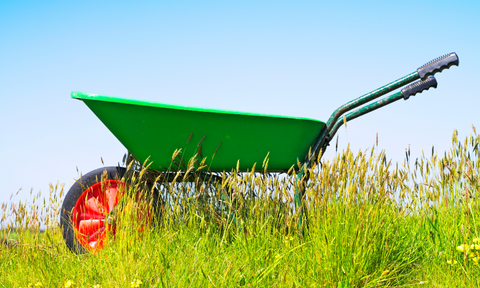 plastic wheelbarrow