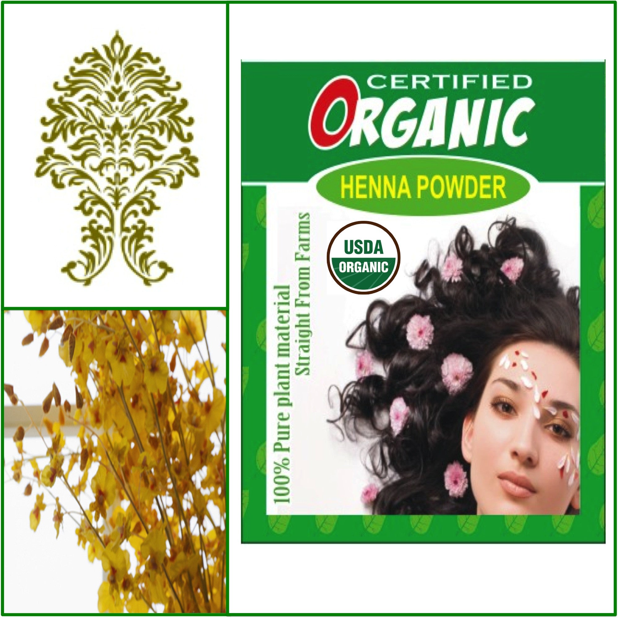 Enega nourishing no ammonia golden brown cream hair color with argon oil  green tea extract 120ml  JioMart