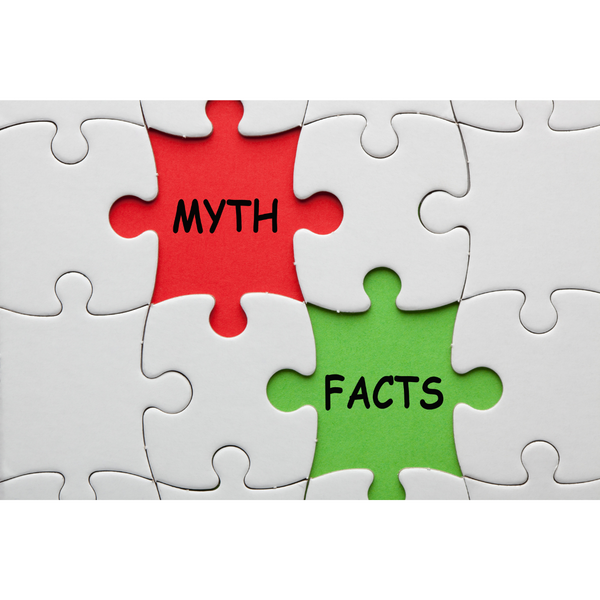 Puzzle pieces with the words Myths vs Facts