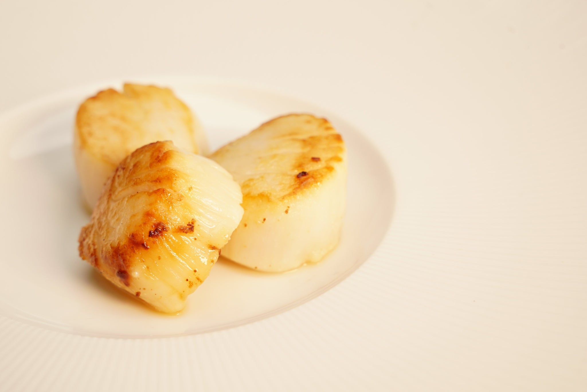 Premium U 10 Scallops Usa Pack 5 Lbs Honolulu Fish Delivered