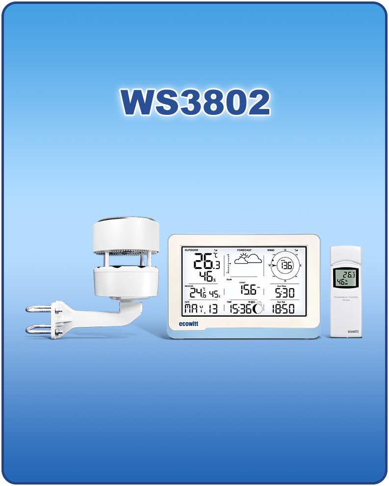 WS3802