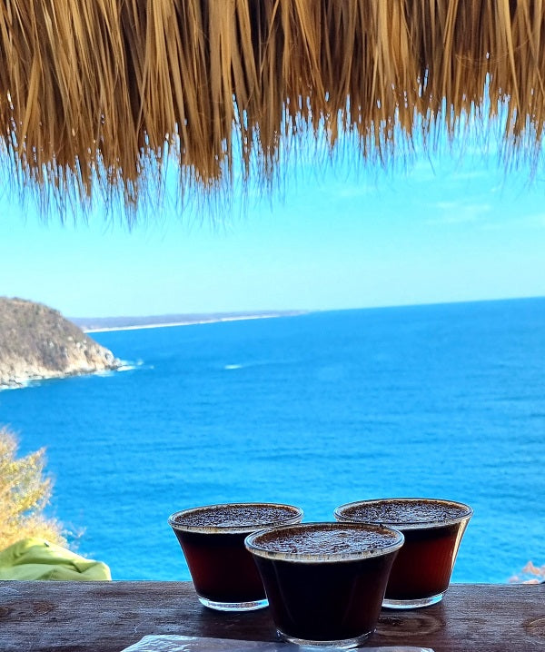 Kaffee Cupping am Pazifik in Oaxaca