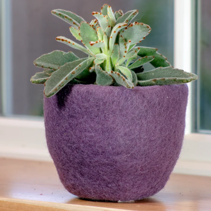 Felt Planter - Amethyst
