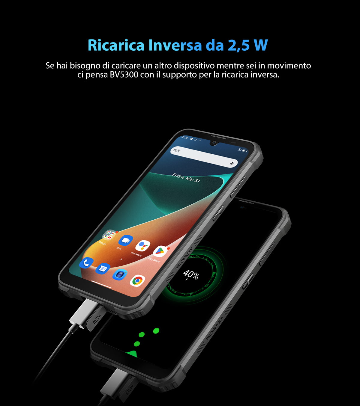 Blackview BV5300 italian description