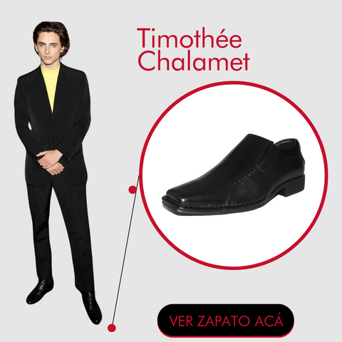 Timothée Chalamet usando zapatos casuales sin cordones