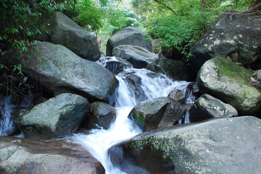 陽明山国家公園の伏流水