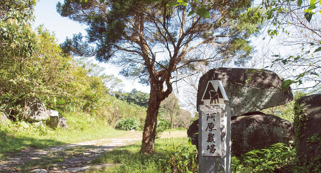 阿原農場門扉